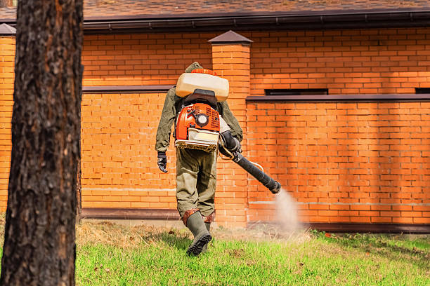 Trusted Emergency Pest Control service in El Valle de Arroyo Seco, NM - Nex Pest Control